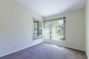 1816 Appaloosa Dr, Naperville, IL 60565 - Photo 14