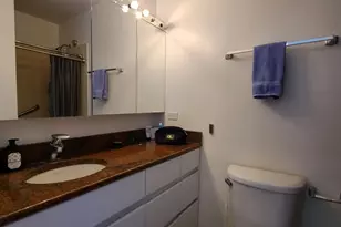 2400 N Lakeview Ave, Chicago, IL 60614 - Photo 12