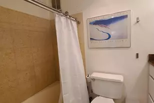 2400 N Lakeview Ave, Chicago, IL 60614 - Photo 10