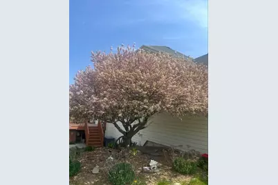 25812 91st Street, Salem, WI 53168 - Photo 52