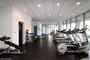 303 W Ohio St, Chicago, IL 60654 - Photo 16
