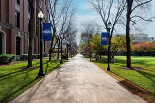 2437 N Seminary Ave, Chicago, IL 60614 - Photo 20