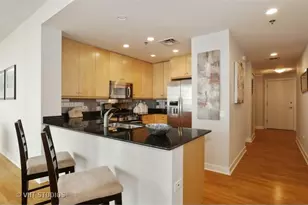 250 E Pearson St, Chicago, IL 60611 - Photo 6