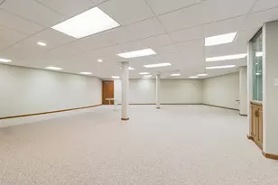 8838 W Manhattan-Monee Rd, Frankfort, IL 60423 - Photo 34