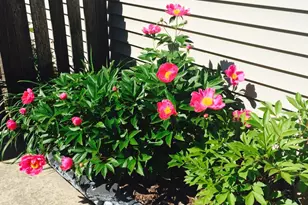 3195 Village Green Dr, Aurora, IL 60504 - Photo 32