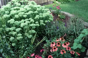 3195 Village Green Dr, Aurora, IL 60504 - Photo 34