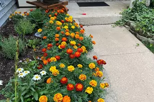 3195 Village Green Dr, Aurora, IL 60504 - Photo 36