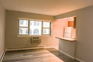 541 W Briar Pl, Chicago, IL 60657 - Photo 8