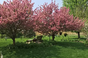 12937 Grande Poplar Cir, Plainfield, IL 60585 - Photo 58