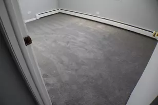 1303 N Baldwin Ct, Palatine, IL 60074 - Photo 8