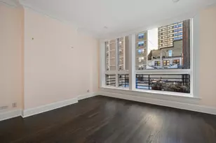 37 E Elm St, Chicago, IL 60611 - Photo 24