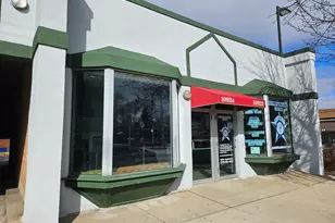 10924 S Western Ave, Chicago, IL 60643 - Photo 1