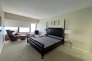 175 E Delaware Pl, Chicago, IL 60611 - Photo 20