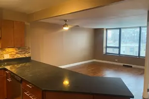 3930 N Pine Grove Ave, Chicago, IL 60613 - Photo 6