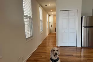 900 N Ashland Ave, Chicago, IL 60622 - Photo 14