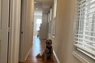 900 N Ashland Ave, Chicago, IL 60622 - Photo 20