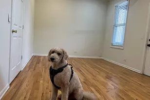 900 N Ashland Ave, Chicago, IL 60622 - Photo 26