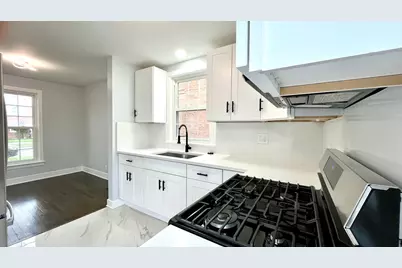 7317 S Mozart Street, Chicago, IL 60629 - Photo 8