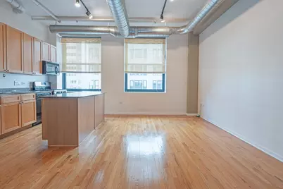 6 E Monroe Street #601, Chicago, IL 60603 - Photo 2