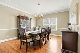 911 E Butterfield Circle, Shorewood, IL 60404 - Photo 10