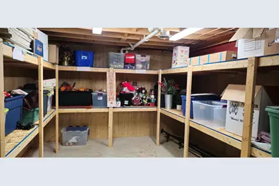 26708 W Megan Drive, Channahon, IL 60410 - Photo 48