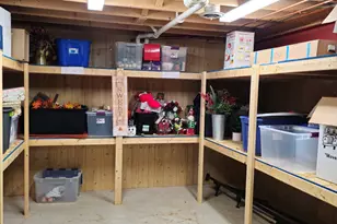 26708 W Megan Dr, Channahon, IL 60410 - Photo 48