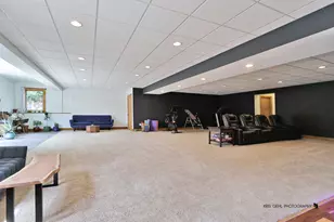 4806 Patty Ln, Ringwood, IL 60072 - Photo 34
