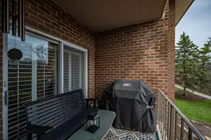 4 Oak Brook Club Dr, Oak Brook, IL 60523 - Photo 50