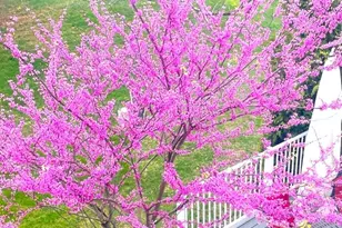 106 Pembroke Circle S, Lake Bluff, IL 60044 - Photo 20