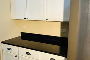 3175 Falling Waters Ln, Lindenhurst, IL 60046 - Photo 8