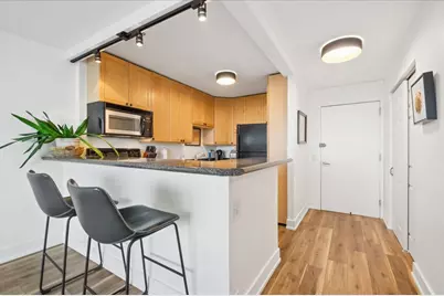 1560 N Sandburg Terrace #2207J, Chicago, IL 60610 - Photo 4