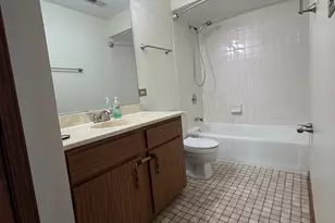 15723 Peggy Ln, Oak Forest, IL 60452 - Photo 10