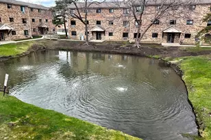 2215 Nichols Rd, Arlington Heights, IL 60004 - Photo 14