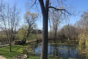 15058 W 147th St, Homer Glen, IL 60491 - Photo 60