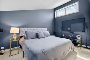 812 Tam O Shanter Cir, Bolingbrook, IL 60440 - Photo 20