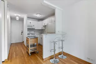 1 E Scott St, Chicago, IL 60610 - Photo 8