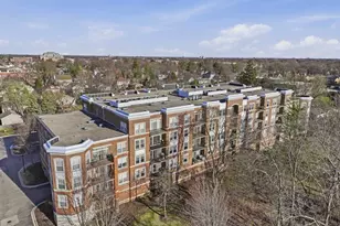 455 W Wood St, Palatine, IL 60067 - Photo 40