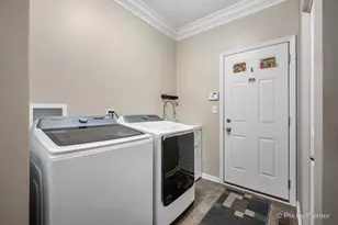 748 Cashmere Ln, Elgin, IL 60124 - Photo 22