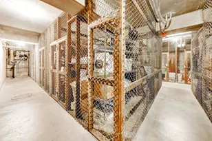 5050 S East End Ave, Chicago, IL 60615 - Photo 22