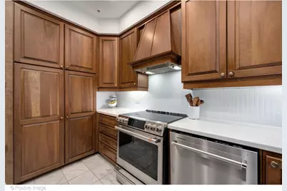 70 E Cedar Street #14WS, Chicago, IL 60611 - Photo 10