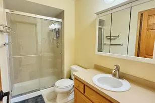 19245 Tramore Ln, Mokena, IL 60448 - Photo 12