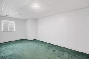 27W015 Manchester Rd, Winfield, IL 60190 - Photo 20