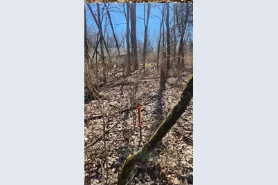 [Address not provided], Putnam, IL 61560 - Photo 2