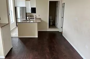 321 W 24th St, Chicago, IL 60616 - Photo 2