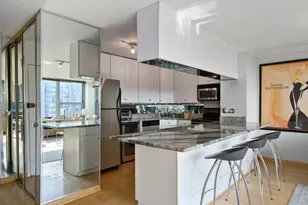 1255 N Sandburg Terrace, Chicago, IL 60610 - Photo 8