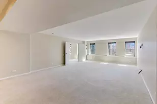 40 E 9th St, Chicago, IL 60605 - Photo 4