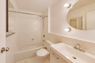 40 E 9th St, Chicago, IL 60605 - Photo 24