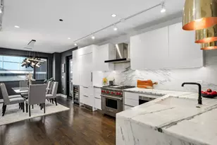 668 N Kingsbury St, Chicago, IL 60654 - Photo 10