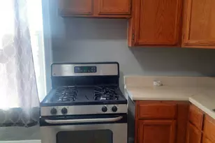 6221 S Laflin St, Chicago, IL 60636 - Photo 10