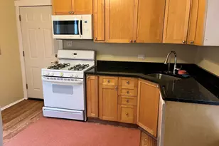 4429 S Calumet Ave, Chicago, IL 60653 - Photo 14